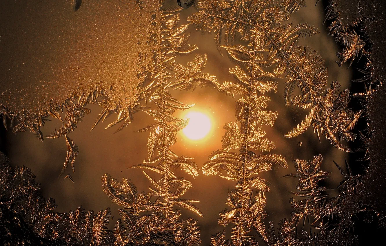 Photo wallpaper winter, the sun, pattern