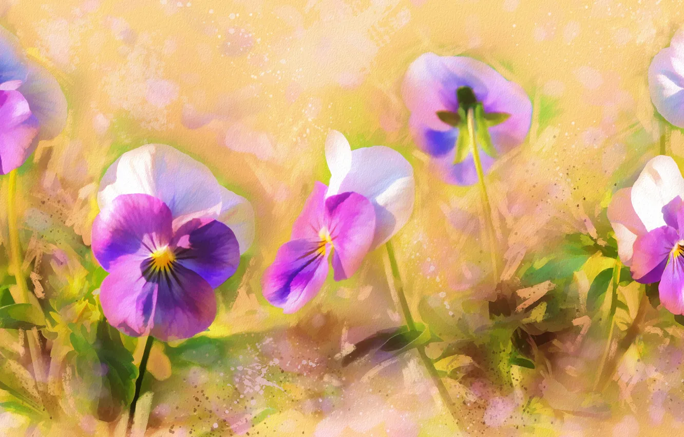 Photo wallpaper flowers, figure, graphics, treatment, picture, art, painting, Pansy