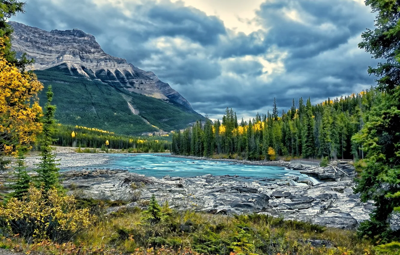 Photo wallpaper forest, trees, mountains, river, Canada, Alberta, Canada, Jasper National Park