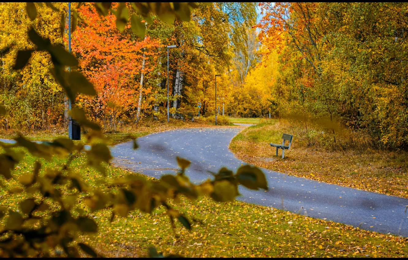 Photo wallpaper autumn, bench, foliage, track, falling leaves, Autumn, leaves, path