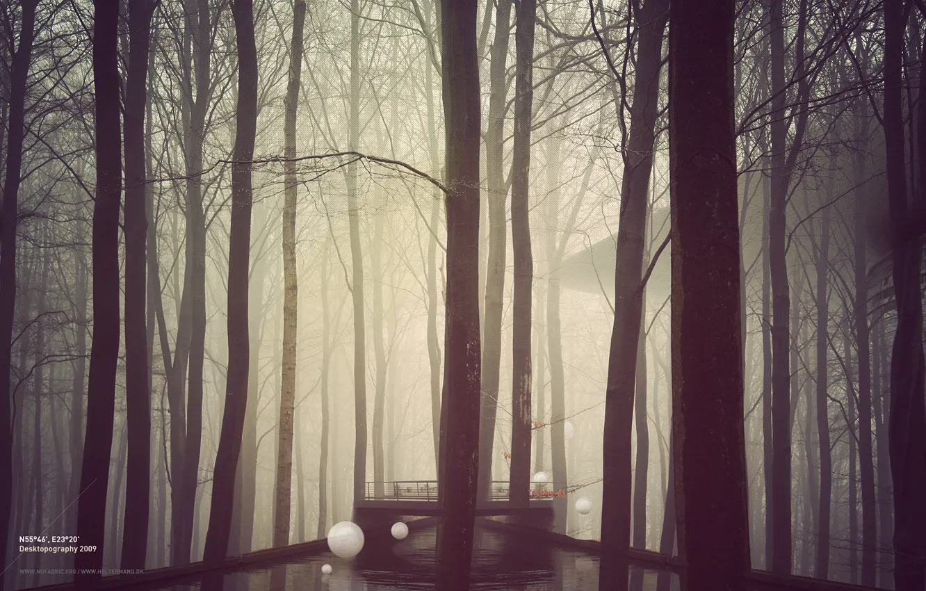 Photo wallpaper forest, trees, bridge, fog, river, balls, construction, white