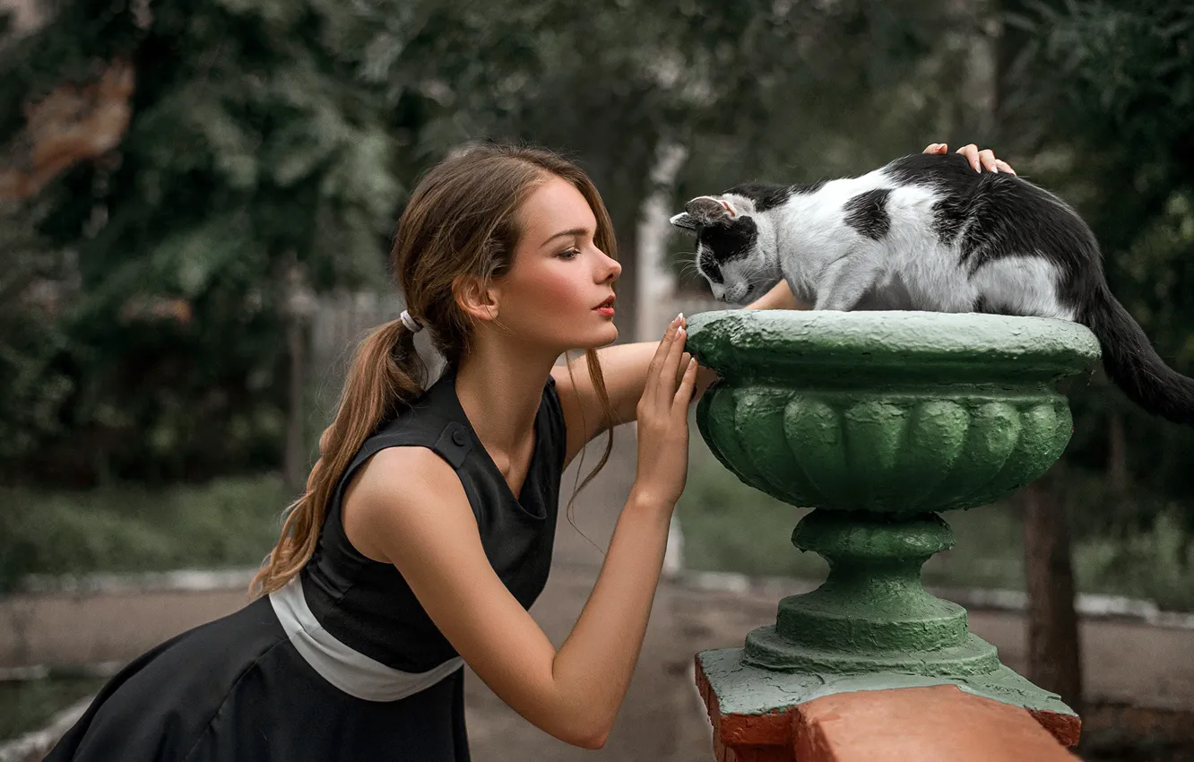 Photo wallpaper cat, girl, face, sweetheart, model, portrait, dress, braids