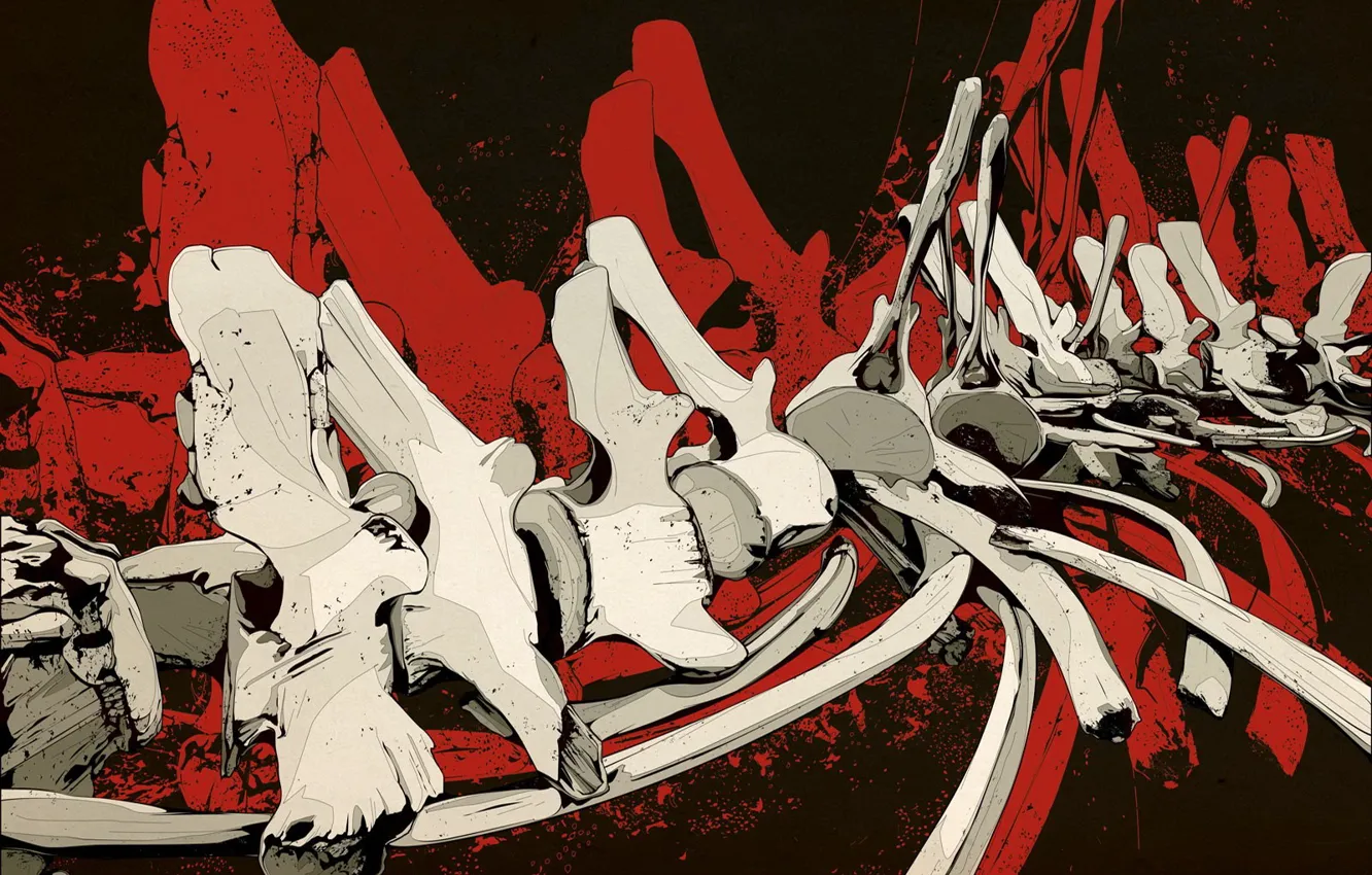 Photo wallpaper vector, bones