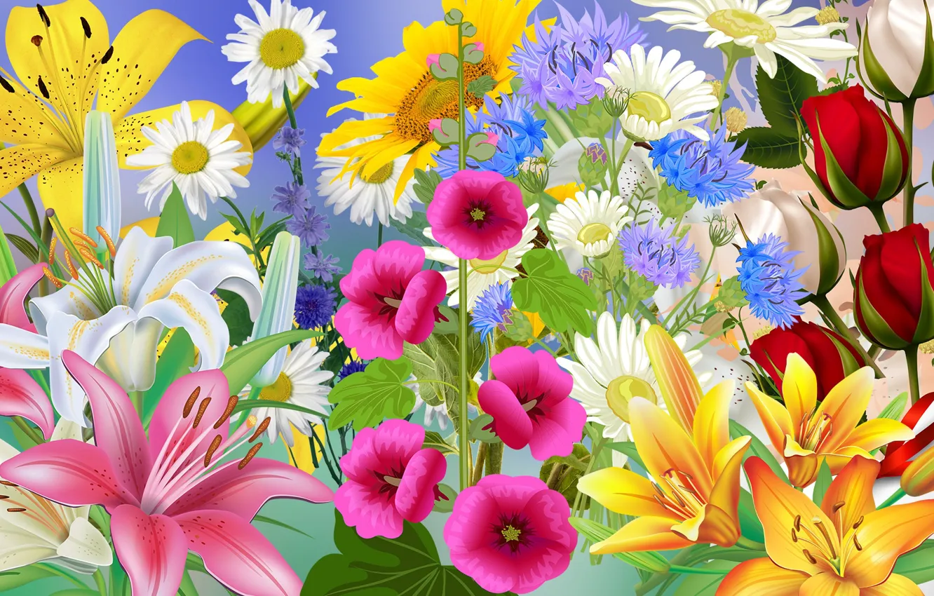 Photo wallpaper Graphics, Flowers