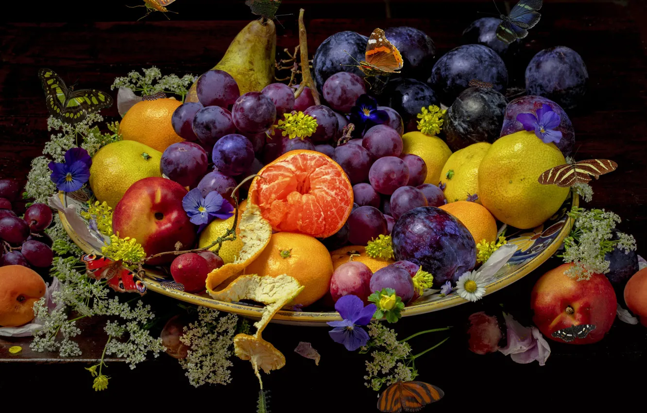 Photo wallpaper grapes, fruit, black background, still life, plum, tangerines, cuts