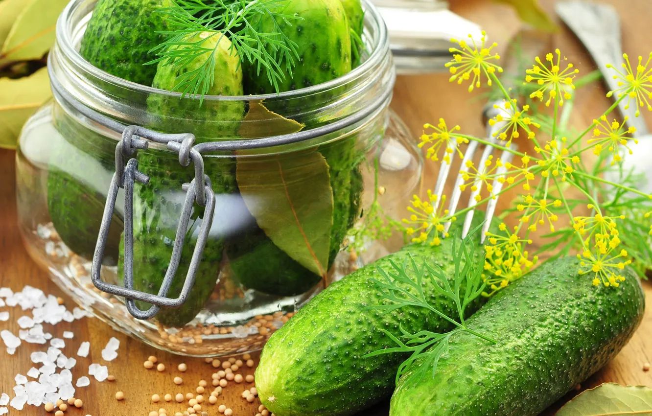Photo wallpaper greens, dill, Bank, cucumbers, salting, blank