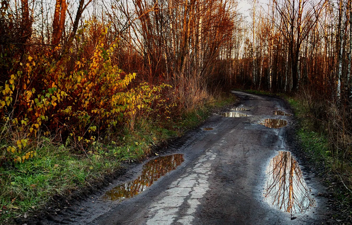 Photo wallpaper road, autumn, reflection, puddles