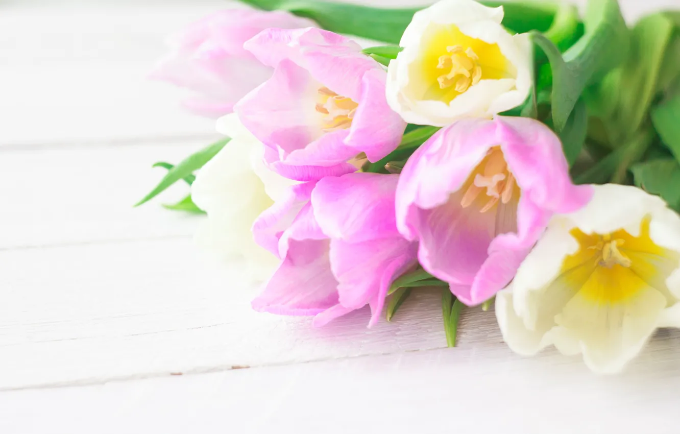 Photo wallpaper flowers, bouquet, tulips, love, pink, white, fresh, pink