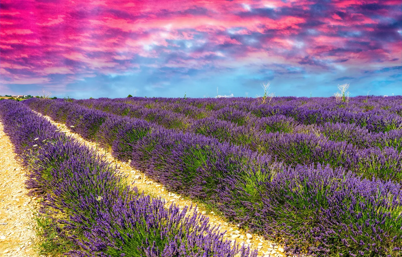 Photo wallpaper field, the sky, clouds, space, glow, lavender
