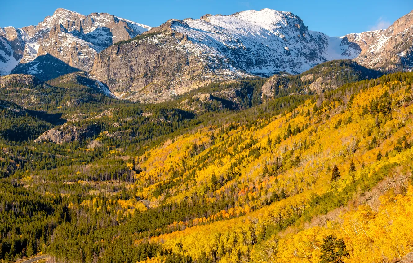 Photo wallpaper forest, landscape, nature, mountain, leaf, fall, foliage, natural