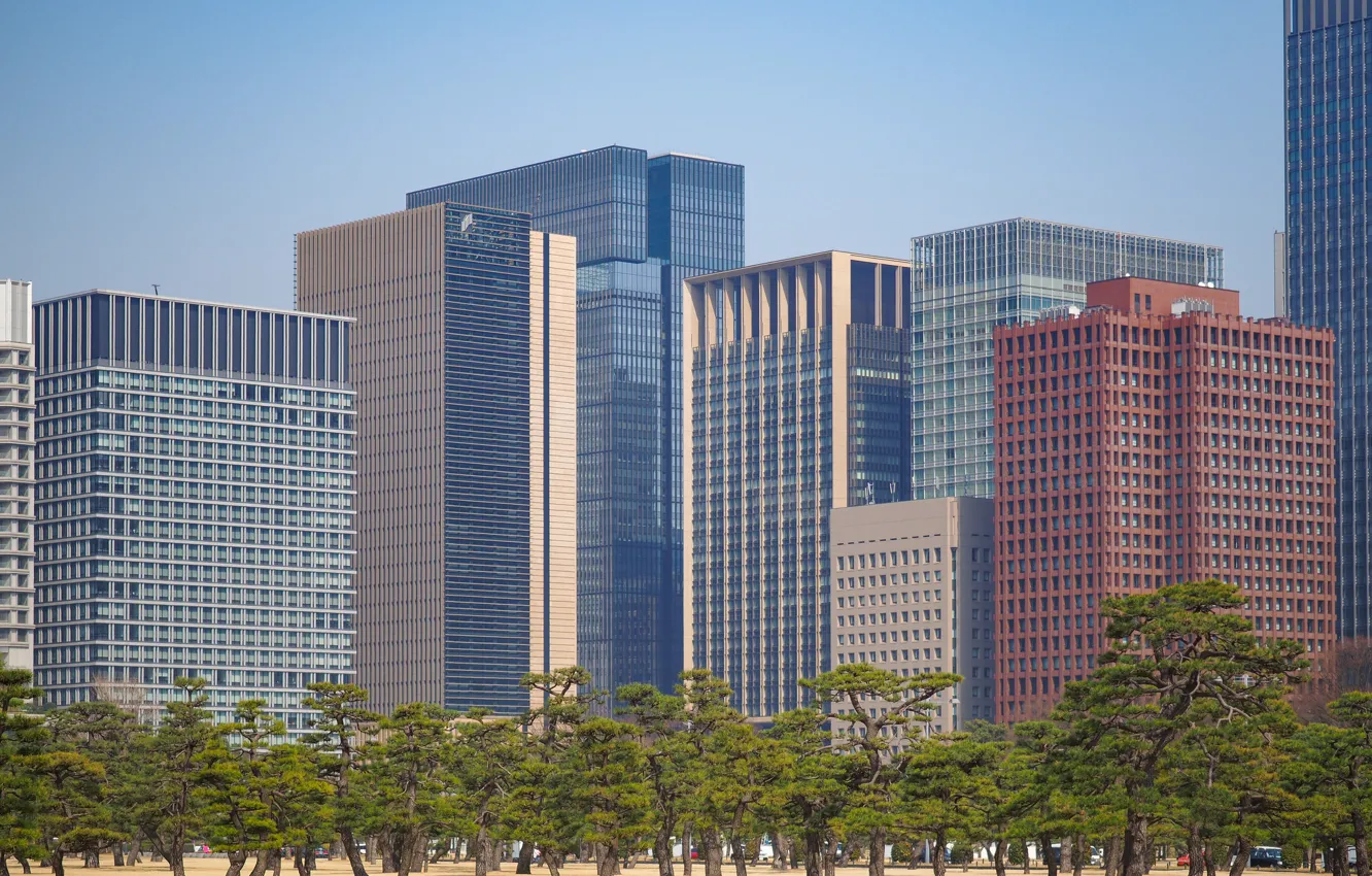 Photo wallpaper trees, the city, building