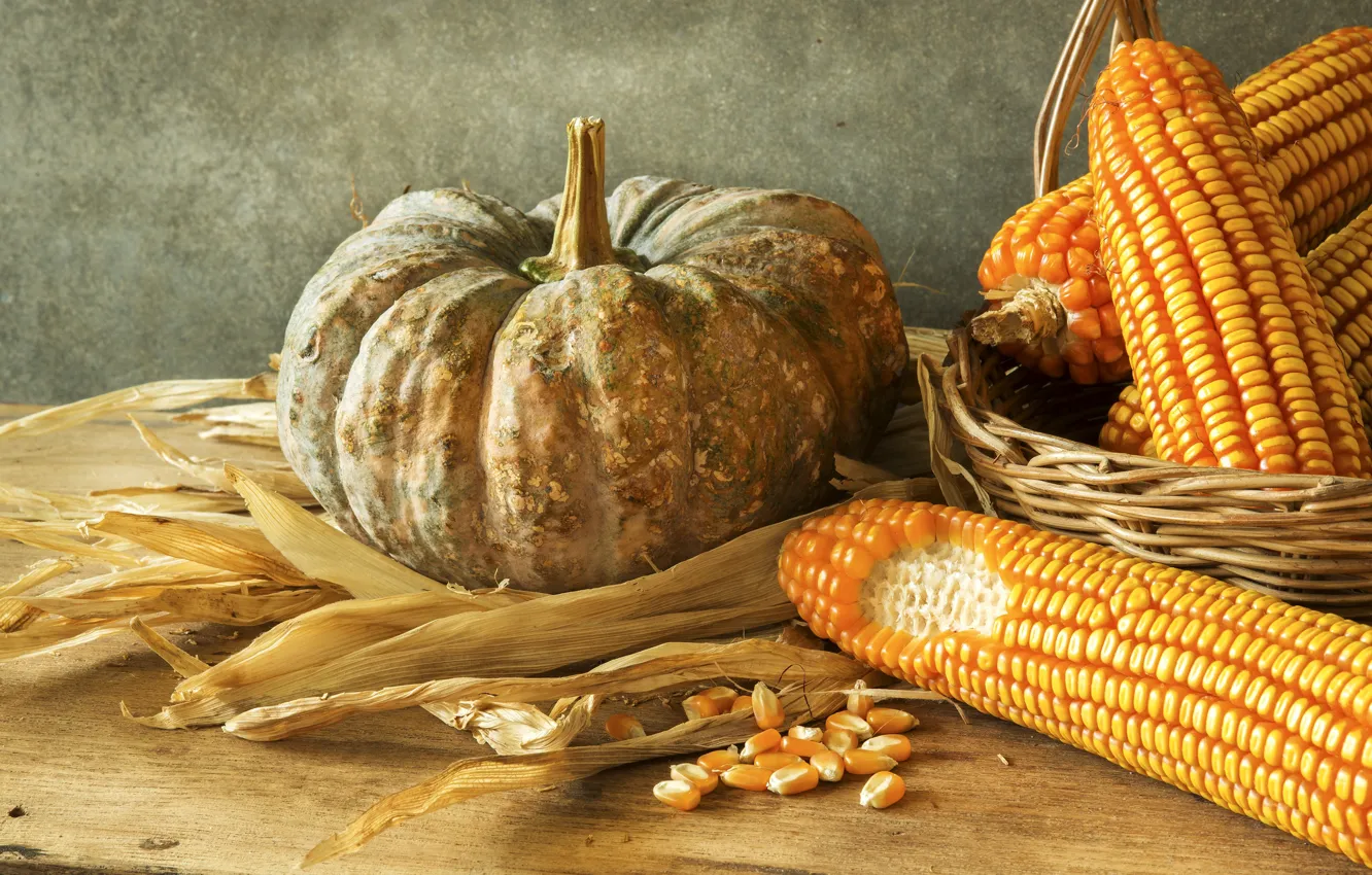 Photo wallpaper corn, pumpkin, still life