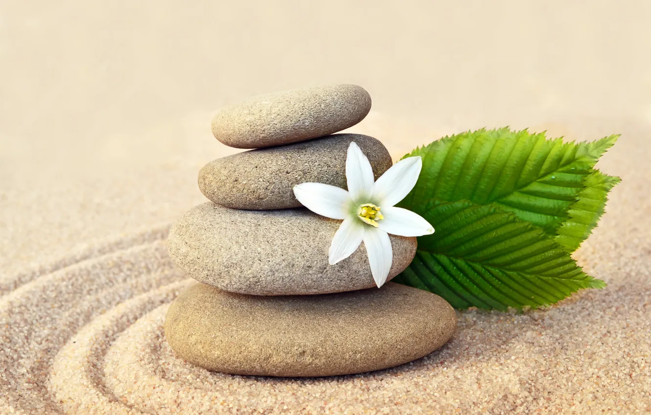 Photo wallpaper sand, flowers, stones, flower, sand, Spa, stones, spa