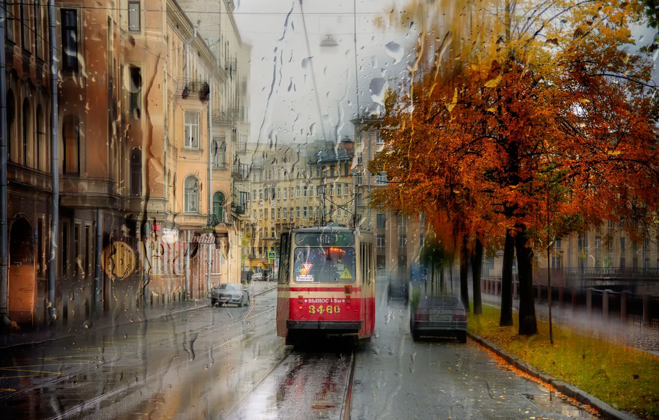 Photo wallpaper rain, Saint Petersburg, tram