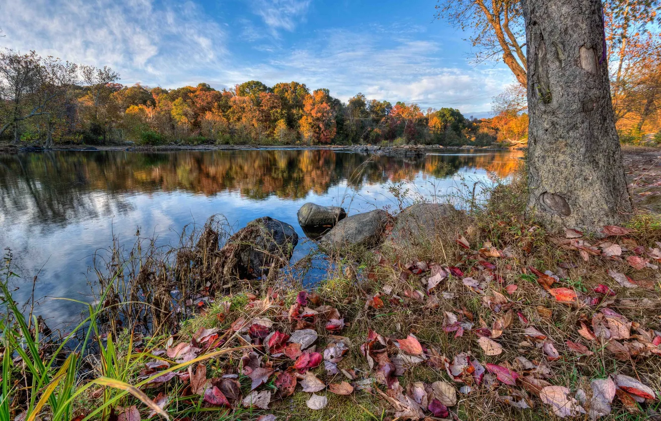 Photo wallpaper autumn, the sky, grass, leaves, trees, river