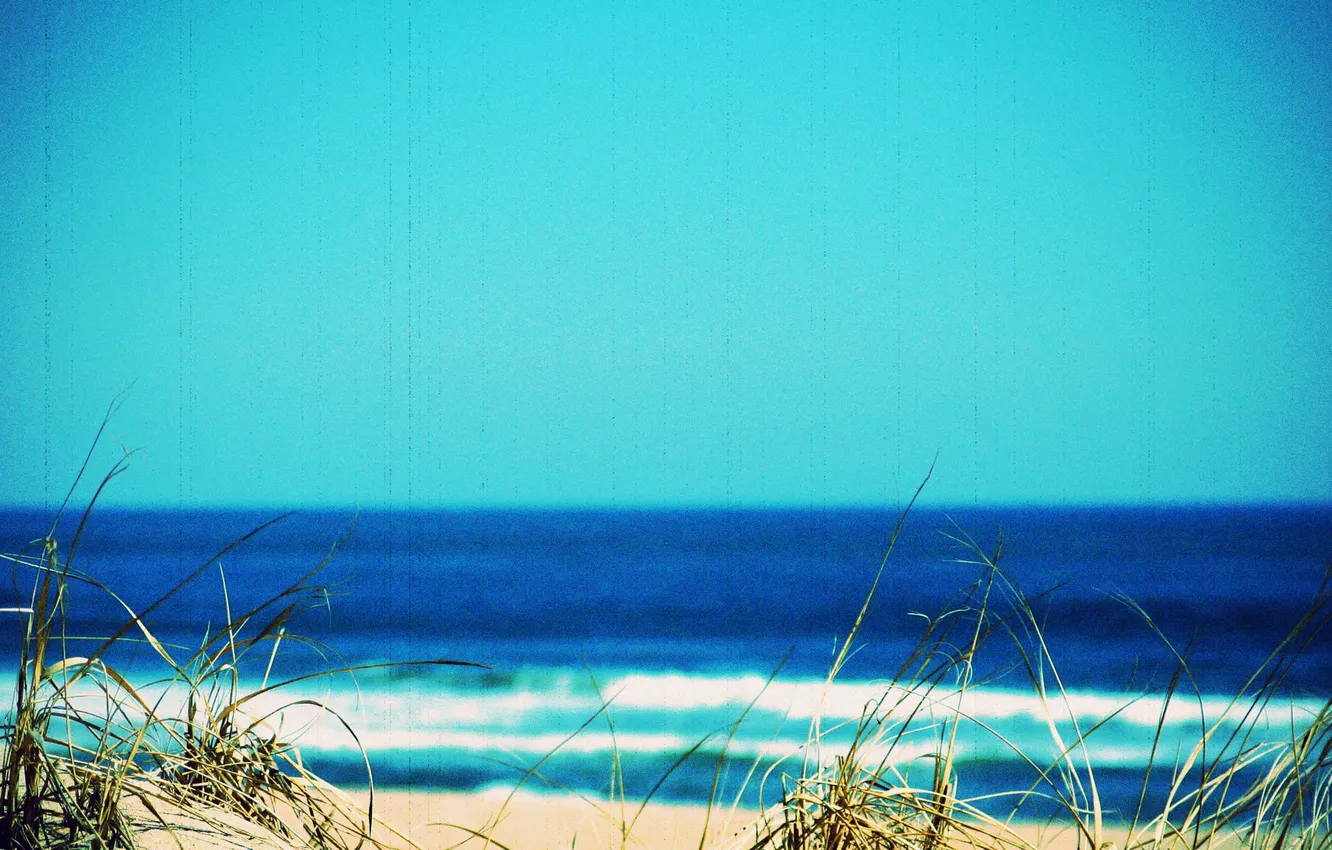 Photo wallpaper beach, grass, landscape, nature, photo