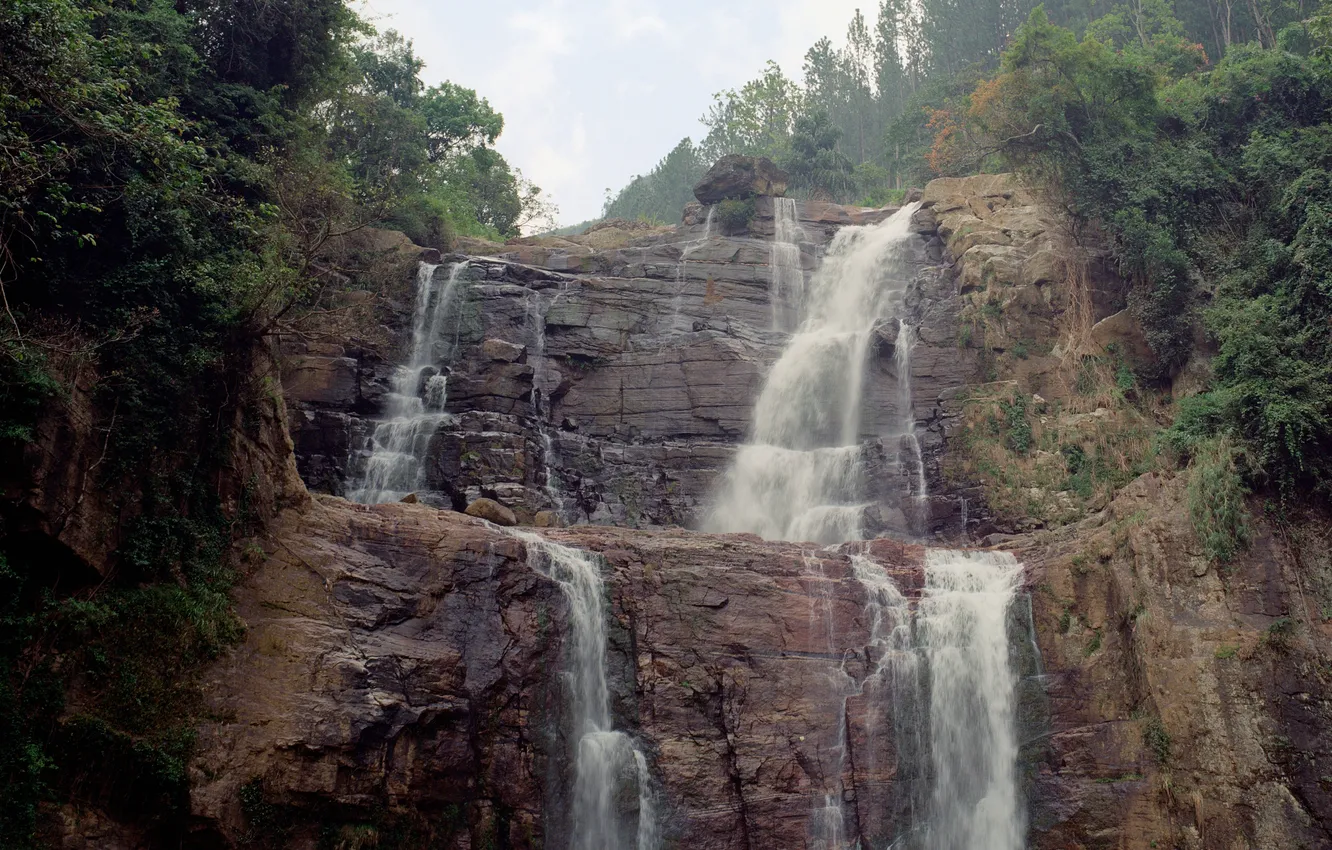 Photo wallpaper trees, cracked, rocks, waterfall, the bushes