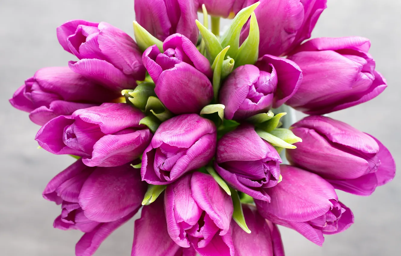 Photo wallpaper flowers, bouquet, tulips, pink, fresh, pink, flowers, beautiful