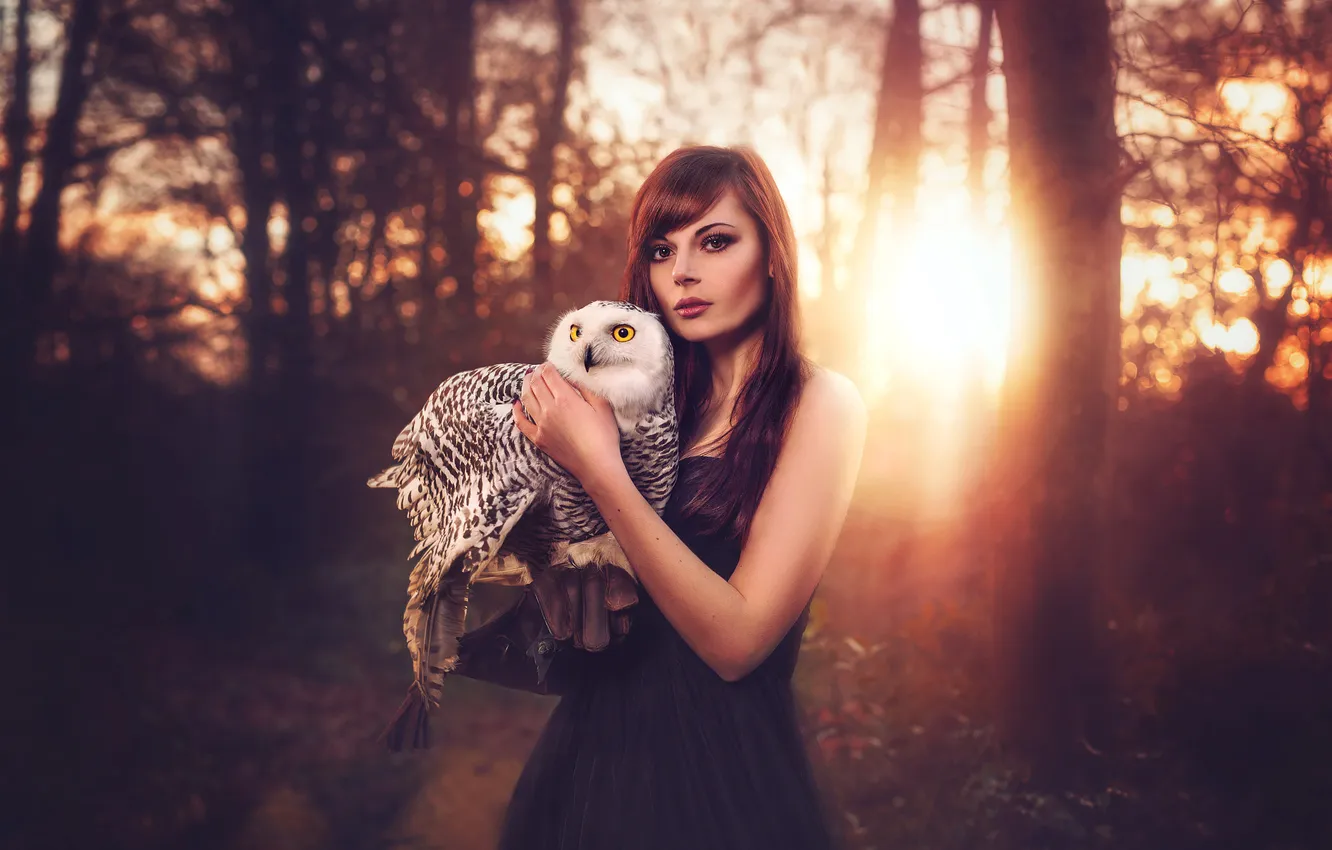 Photo wallpaper forest, look, girl, the sun, light, face, style, owl