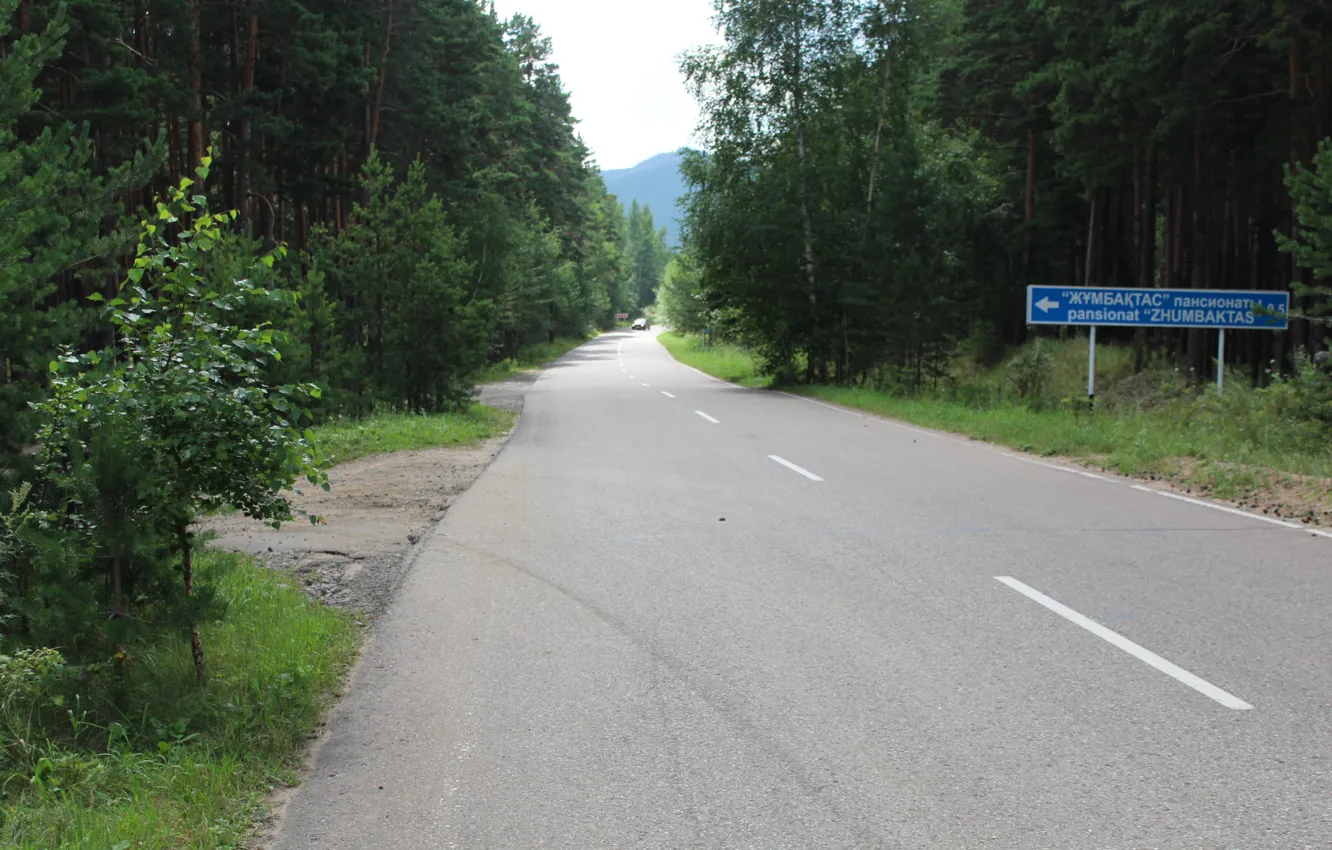 Photo wallpaper road, forest, nature, Upland