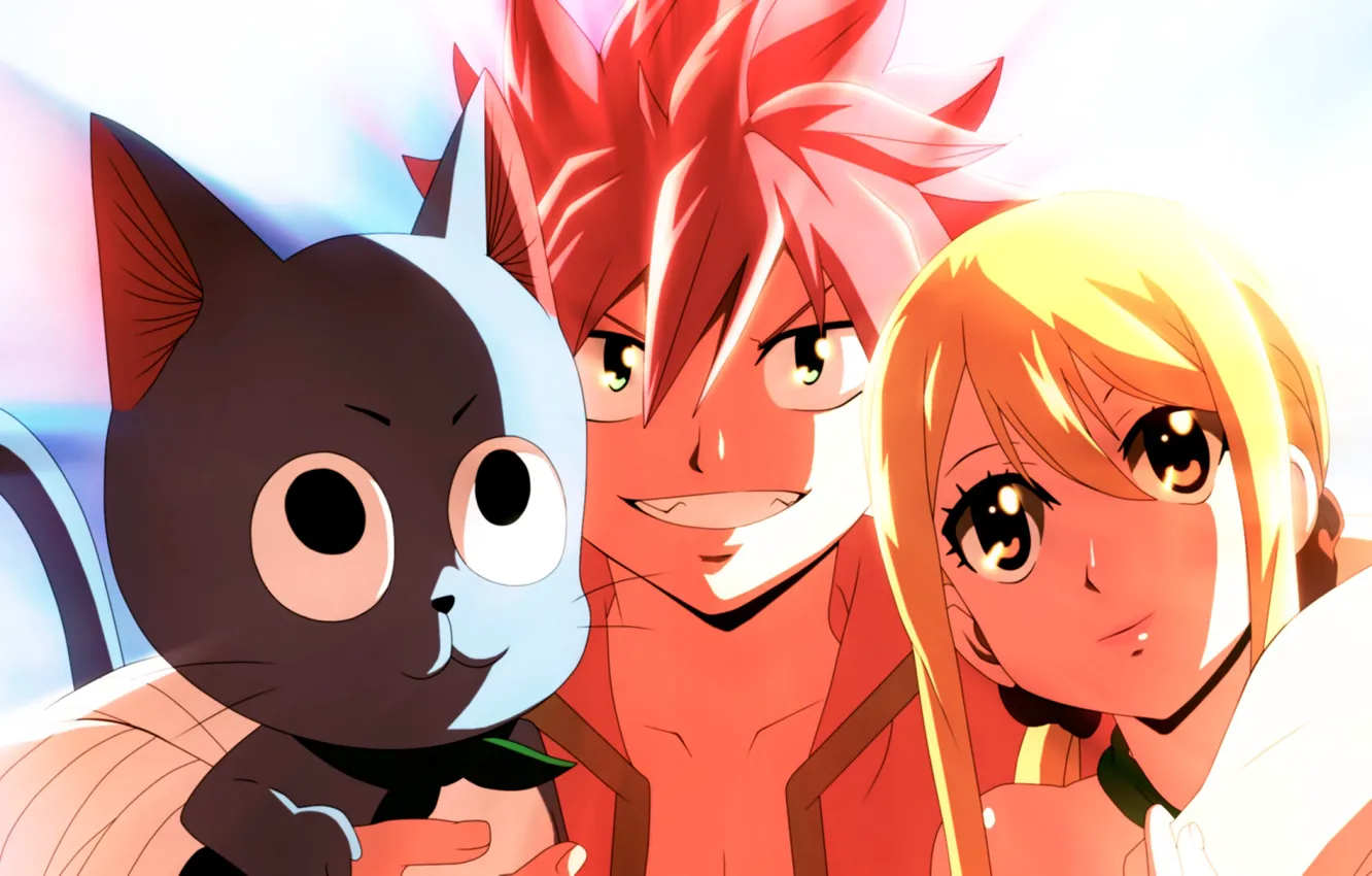 Photo wallpaper cat, girl, guy, Fairy Tail, Natsu, Lucy, Happy, Fairy tail