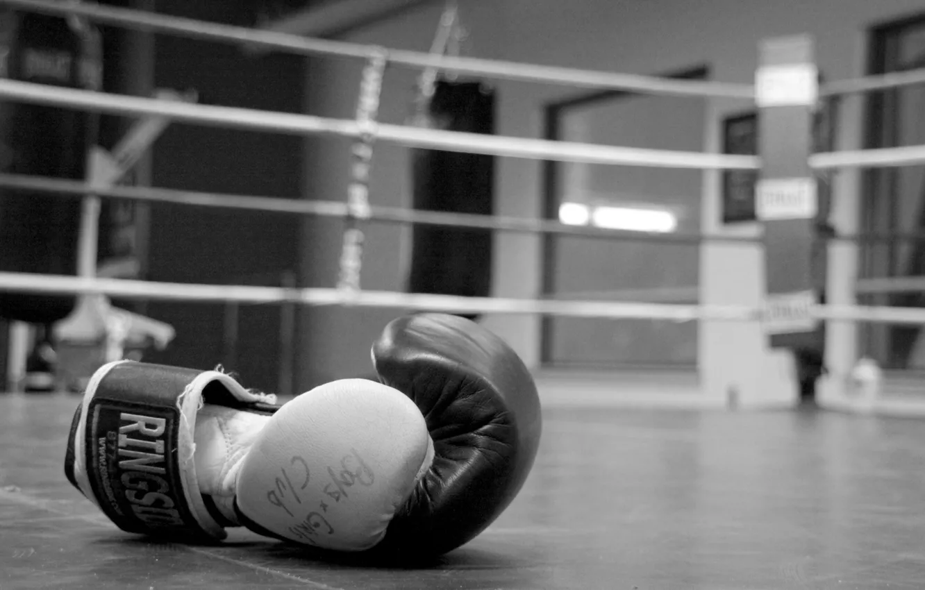 Photo wallpaper Glove, Boxing, Gym