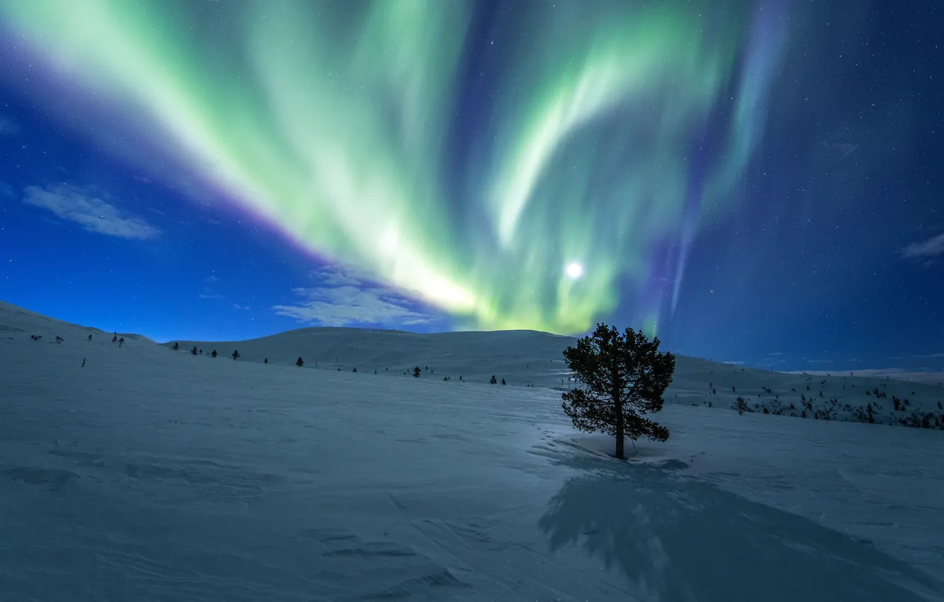 Photo wallpaper winter, clouds, light, snow, trees, night, nature, lights