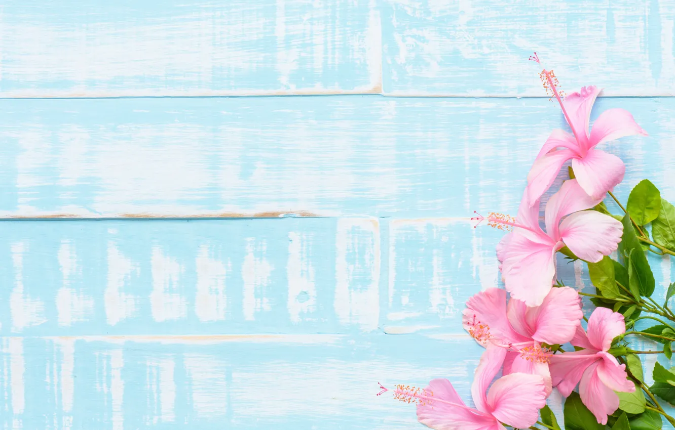 Photo wallpaper flowers, background, wood, pink, flowers