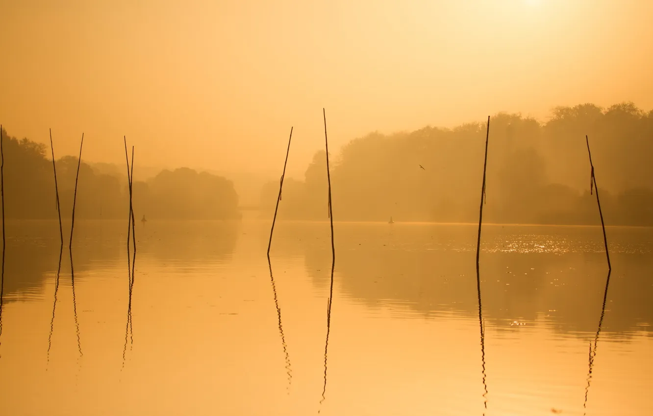 Photo wallpaper landscape, lake, morning