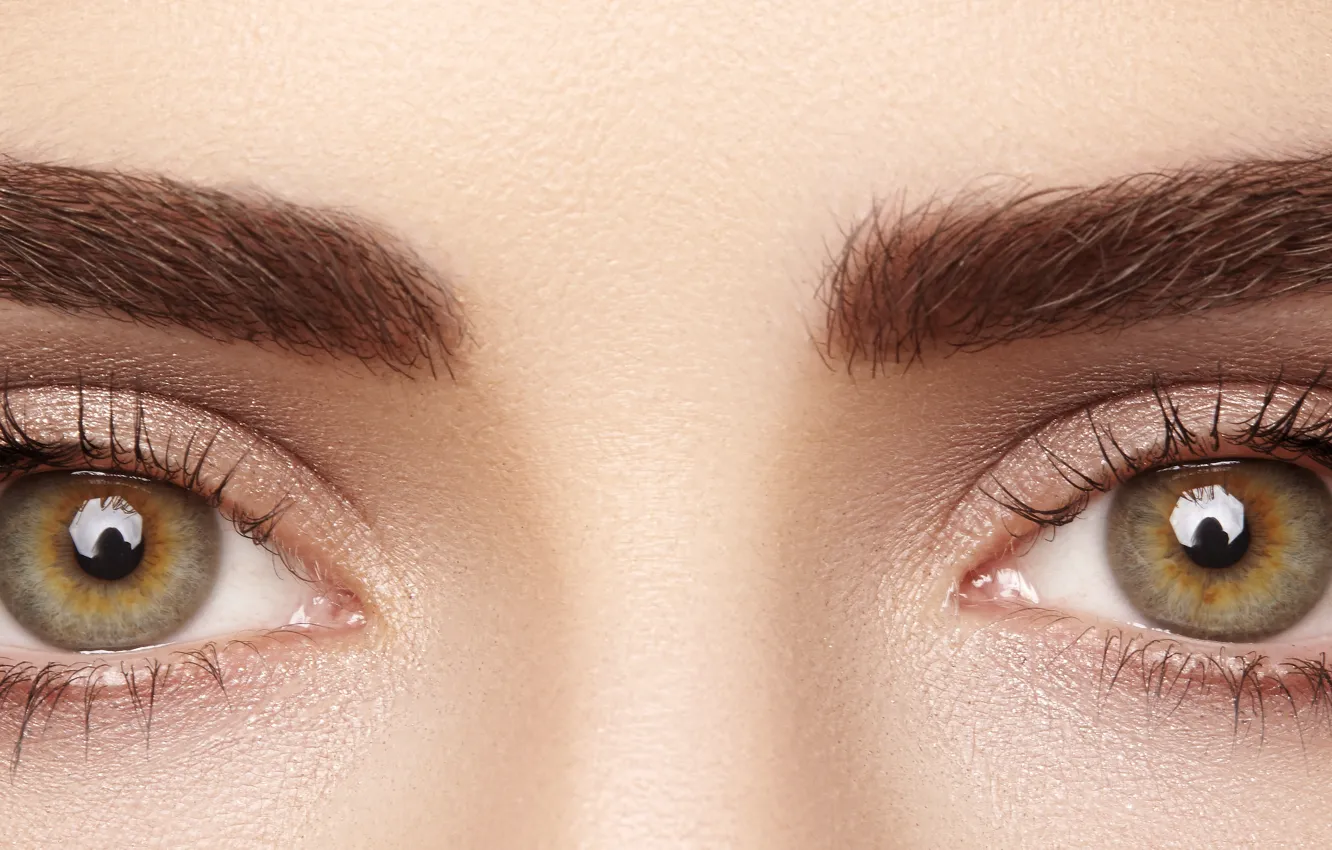 Photo wallpaper brown eyes, eyes, eyelashes, eyebrows