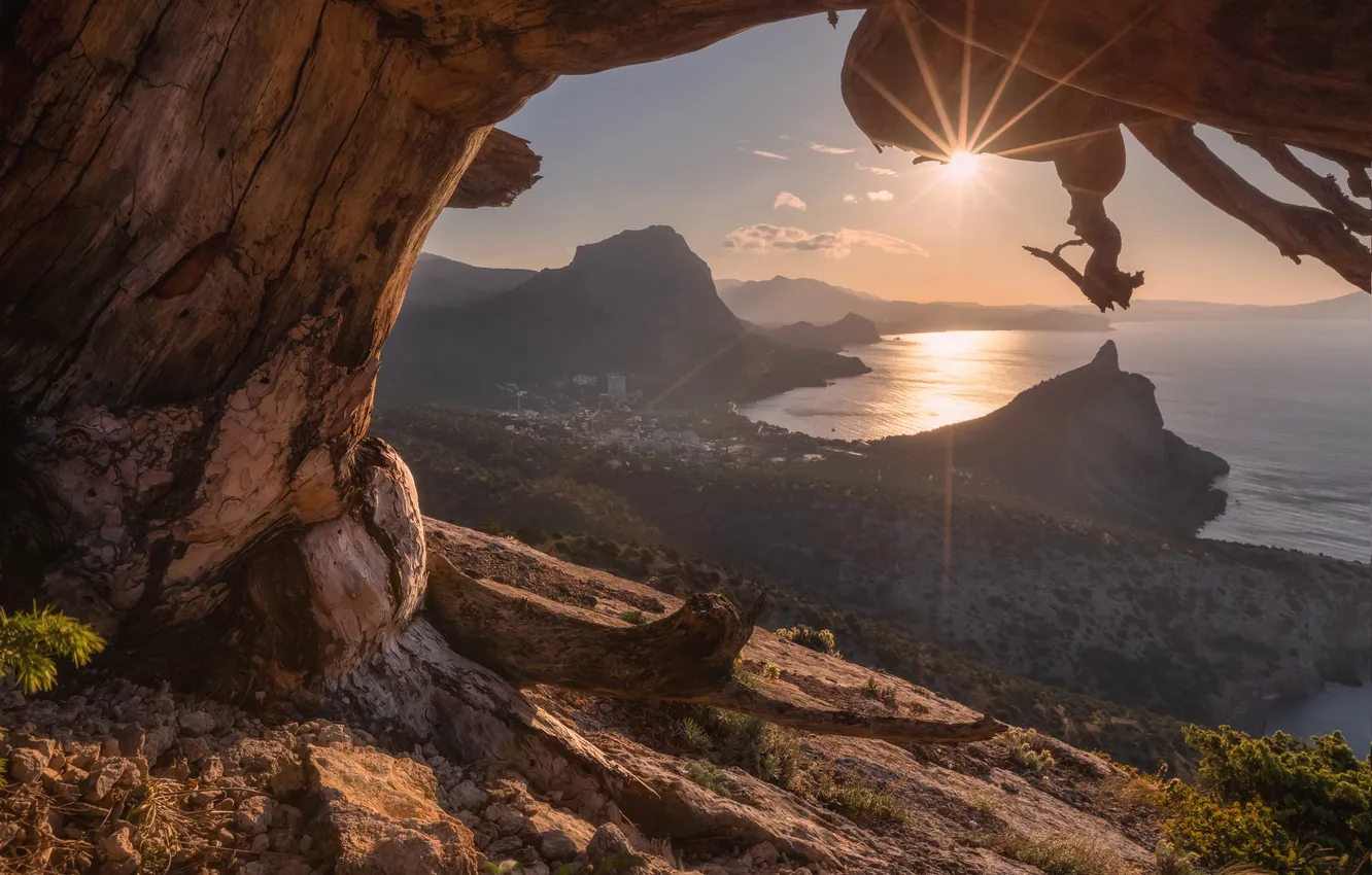 Photo wallpaper landscape, sunset, water, trunk