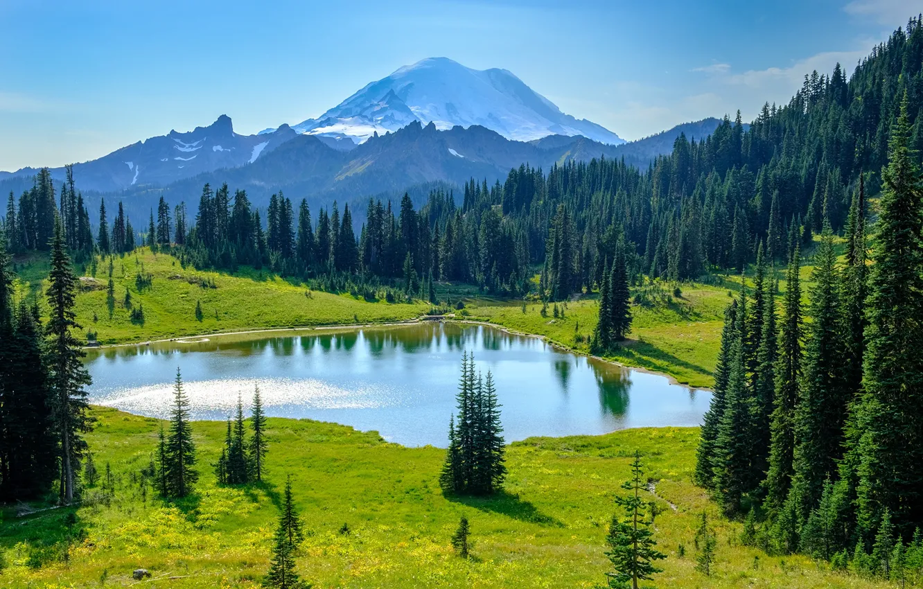 Photo wallpaper forest, mountains, nature, lake