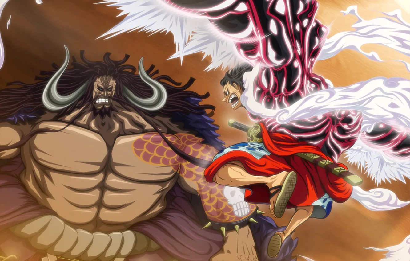 Photo wallpaper One Piece, anime, fight, captain, asian, manga, oriental, asiatic