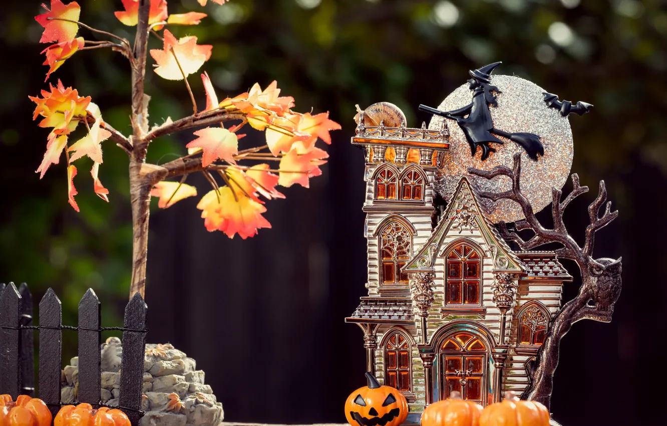 Photo wallpaper autumn, leaves, macro, trees, flight, the dark background, stones, holiday