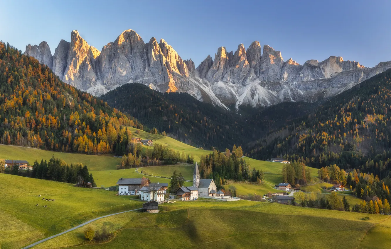 Photo wallpaper field, forest, the sky, mountains, Alps, Church