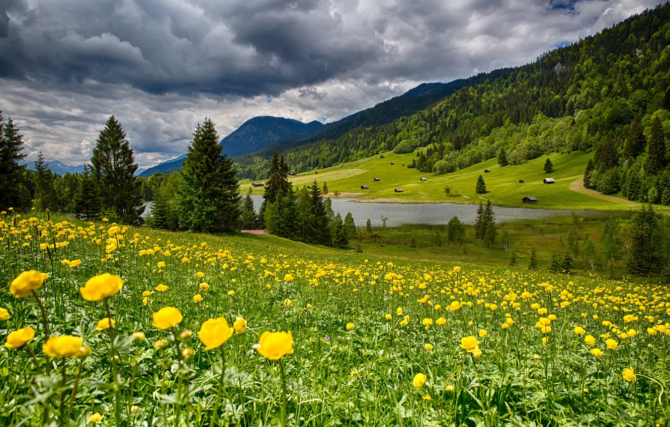 Photo wallpaper the sky, clouds, landscape, flowers, mountains, nature, lake