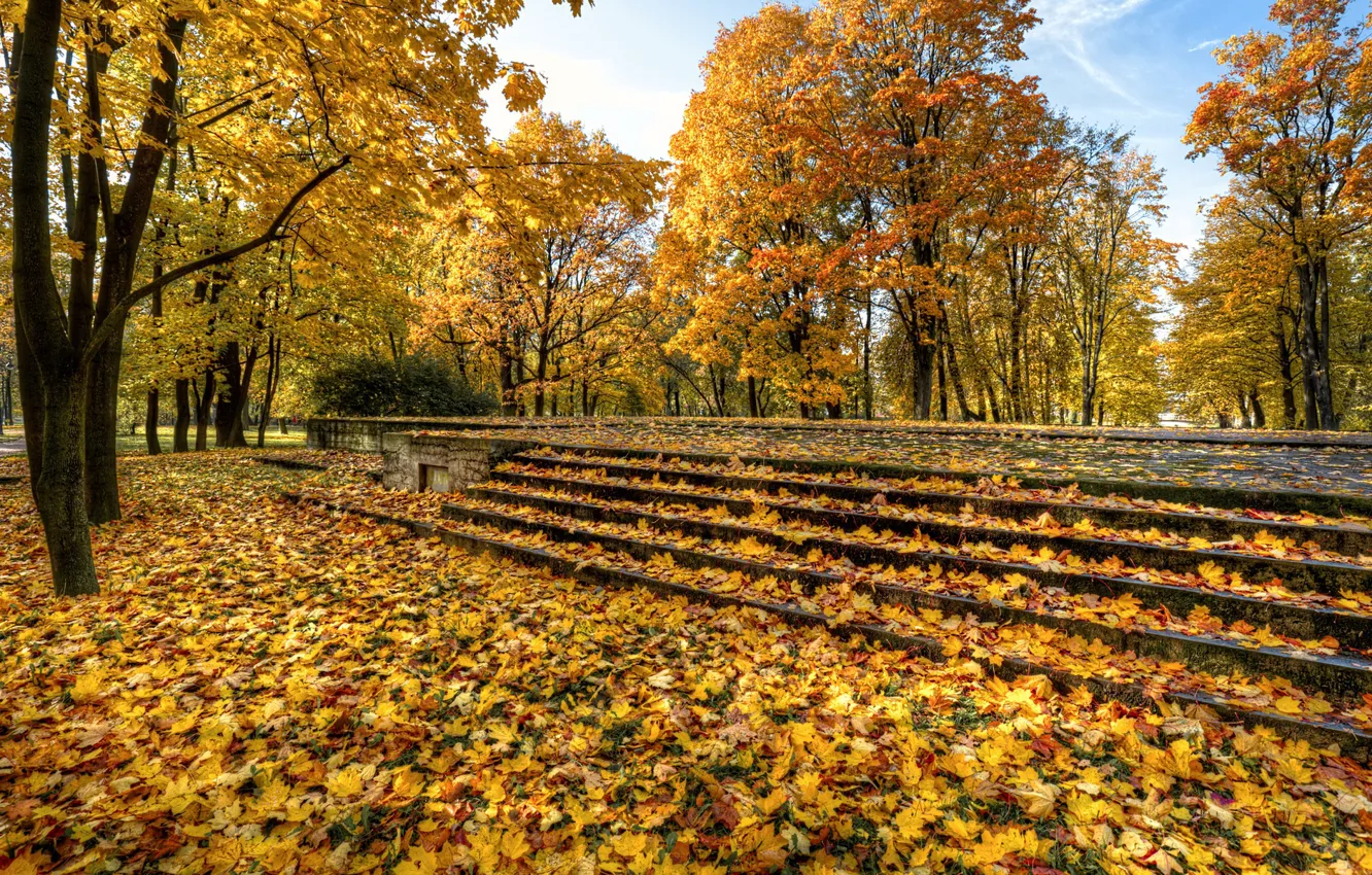 Photo wallpaper autumn, nature, Park, foliage, ladder, Saint Petersburg