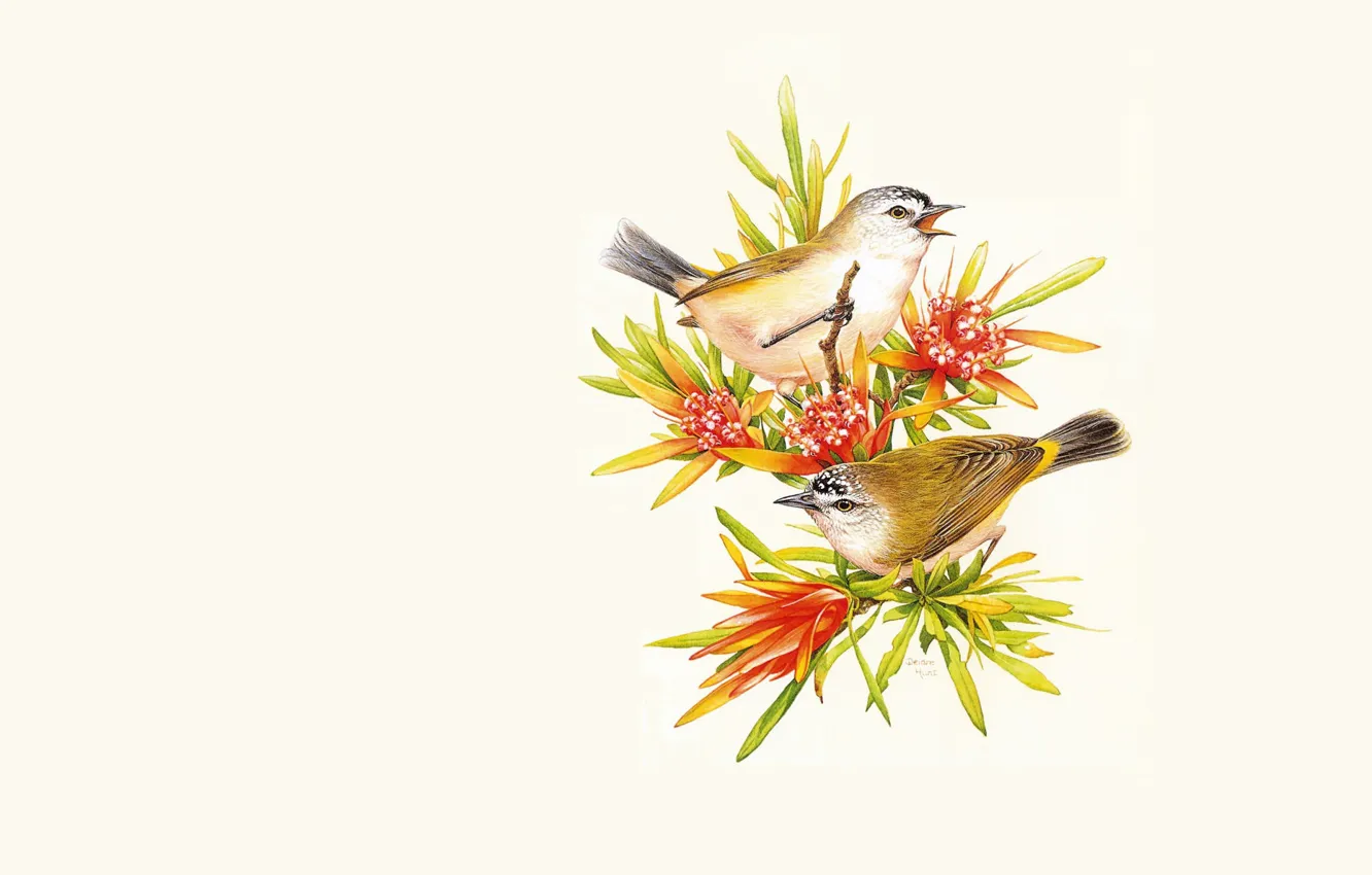 Photo wallpaper sprig, art, bird