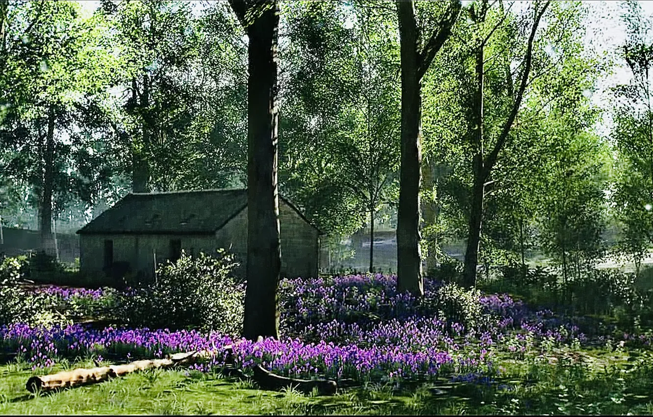 Photo wallpaper HDR, house, sunshine, game, flower, trees, wood, spring