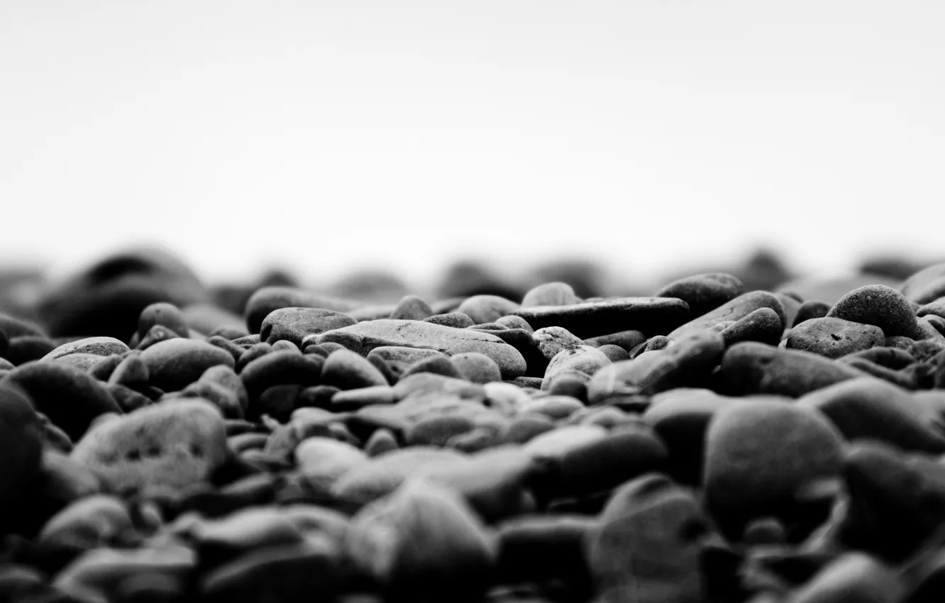 Photo wallpaper stones, macro nature