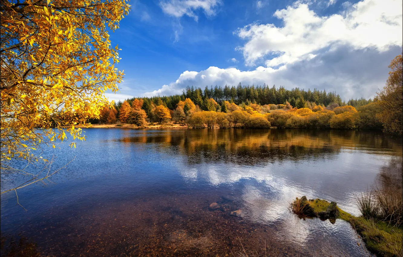 Photo wallpaper autumn, forest, clouds, branches, reflection, blue, shore, foliage