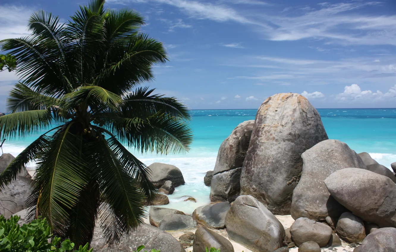 Photo wallpaper sand, sea, beach, stones, palm trees, coast, beach, coast