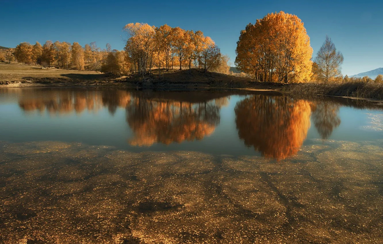 Photo wallpaper autumn, trees, nature, lake, reflection