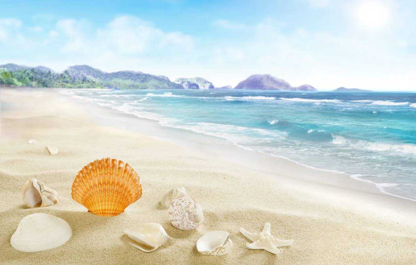 Photo wallpaper beach, sea, sand, seashells