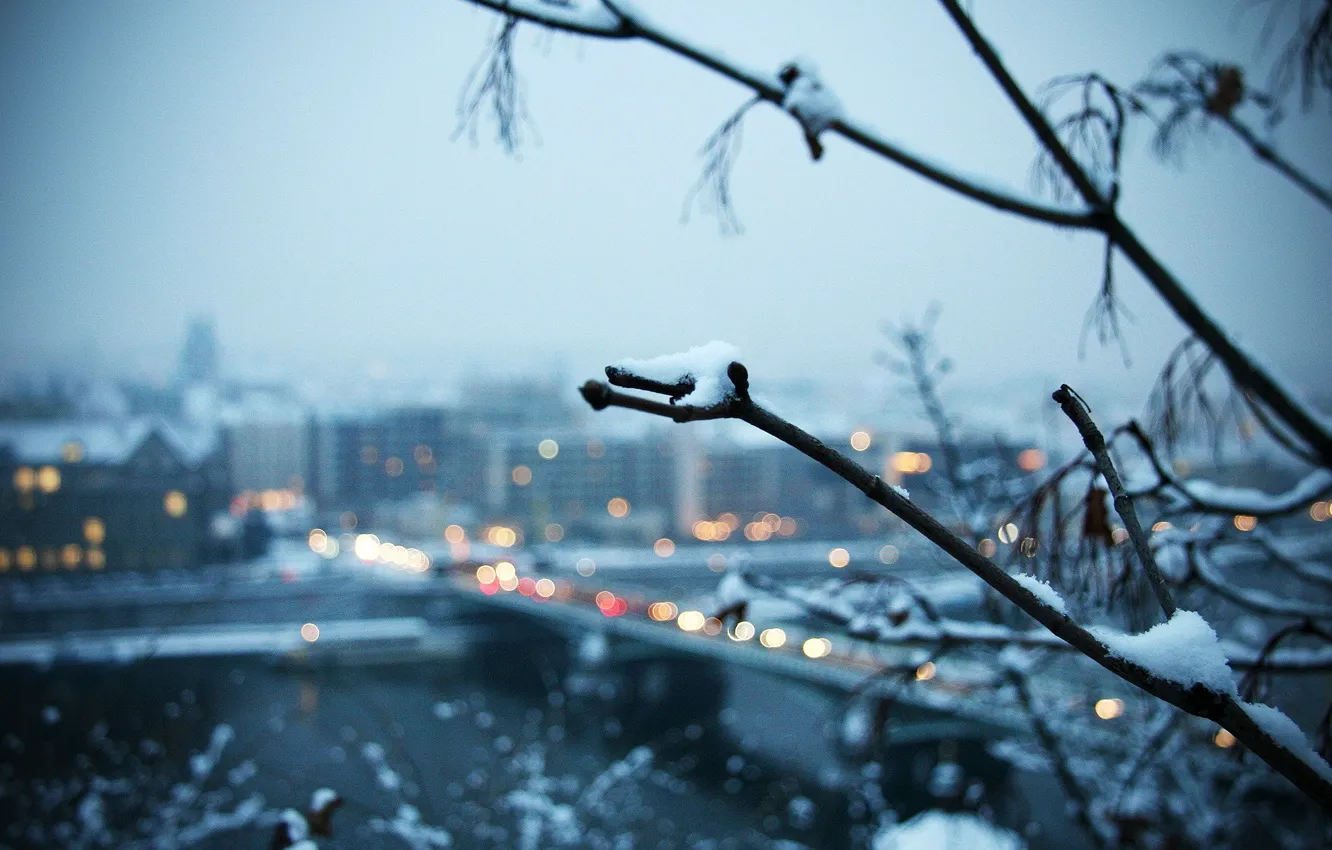Photo wallpaper snow, the city, Winter, branch