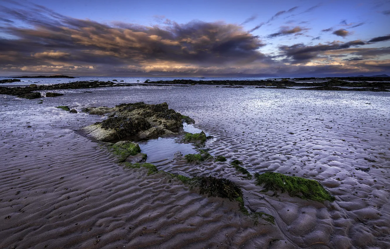 Photo wallpaper sand, beach, algae, stones, the ocean, dawn, shore
