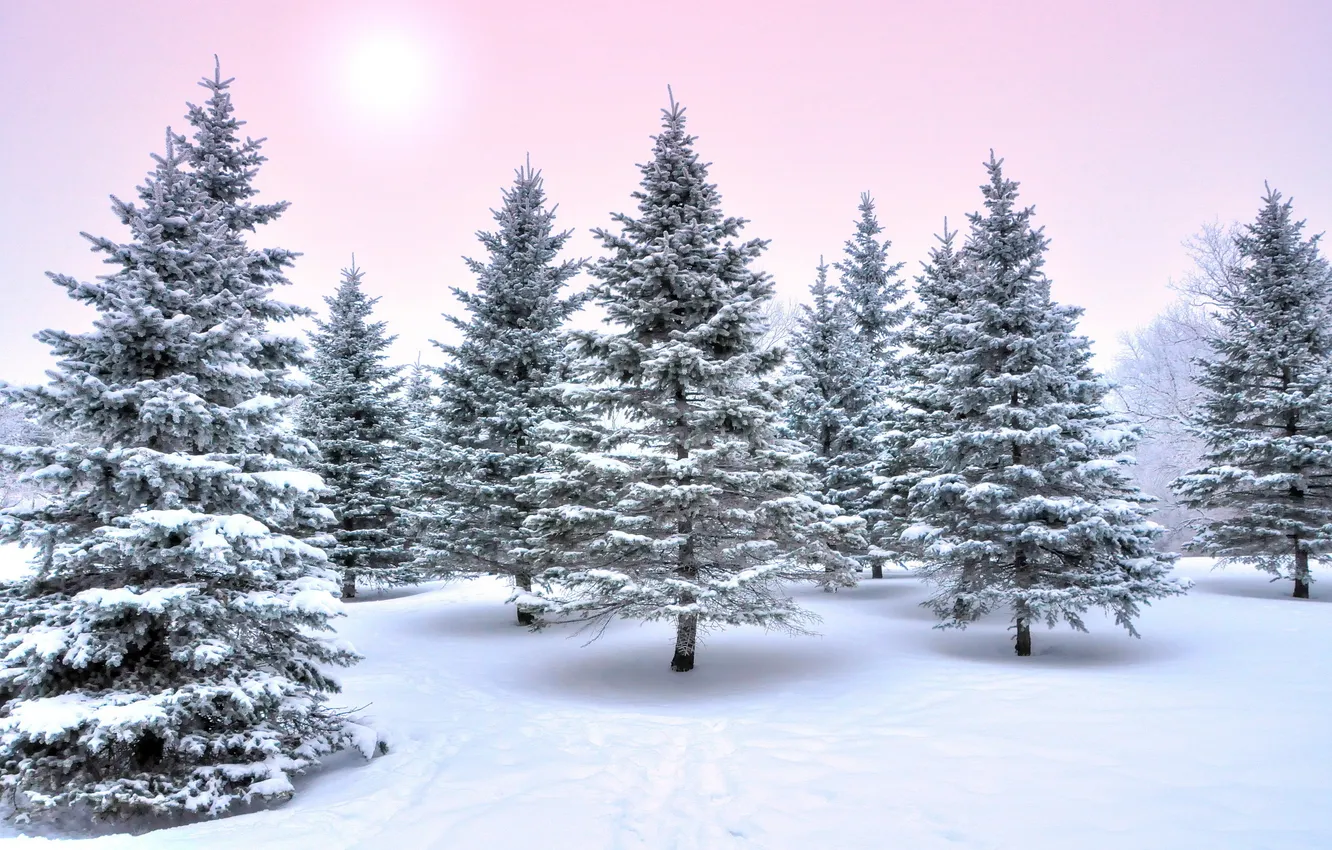 Photo wallpaper winter, landscape, nature
