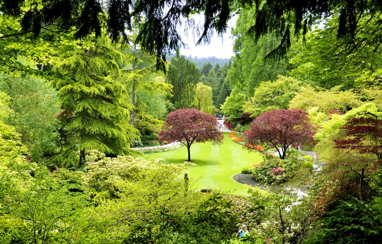 Photo wallpaper grass, trees, Park, lawn, garden, Canada, the bushes, Butchart Gardens