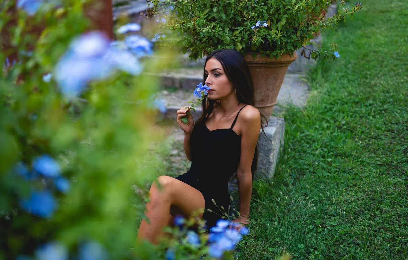 Photo wallpaper girl, flowers, pose, dress, Marco Squassina, Elisa Moscatelli