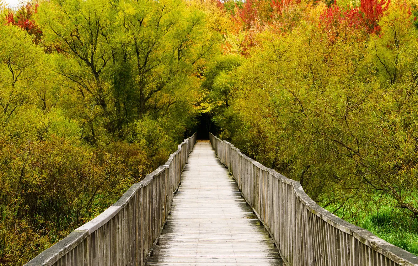 Photo wallpaper autumn, Canada, Quebec